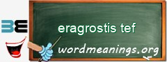 WordMeaning blackboard for eragrostis tef